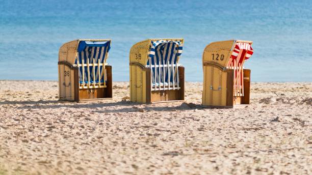 istock Row of beach chairs under the sunlight 1441170690