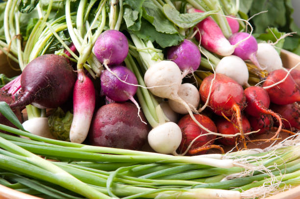 istock radishes and beets and turnip 1441172202