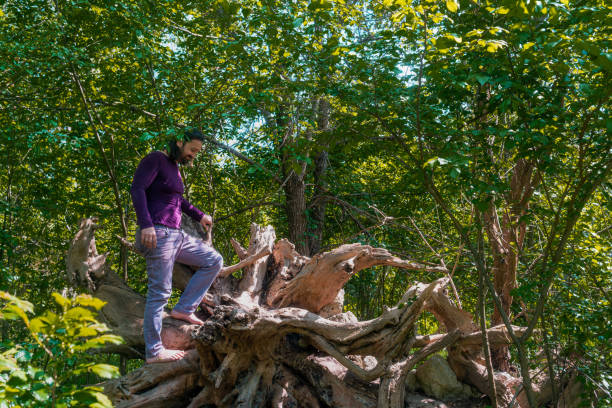 istock Bearded Caucasian man climbing on a tree 1441172387
