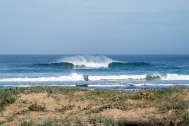 istock Perfect wave in the ocean 1441173258