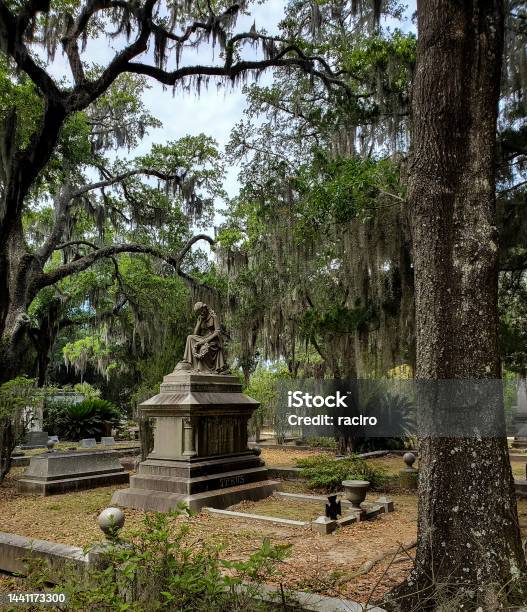 Monuments Among The Moss Covered Trees Bonaventure Cemetery Savannah Georgia Stock Photo - Download Image Now