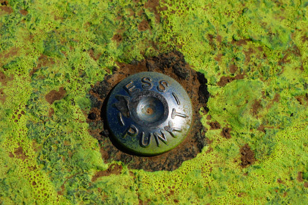 Close-up of a survey point for land surveying on a field path in Eschborn near Frankfurt. Paint was sprayed around it to make it easier to find.