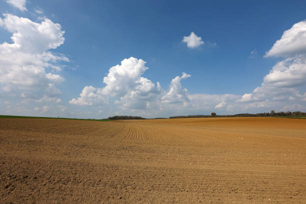 istock Landscape with arable land and meadows 1441175117