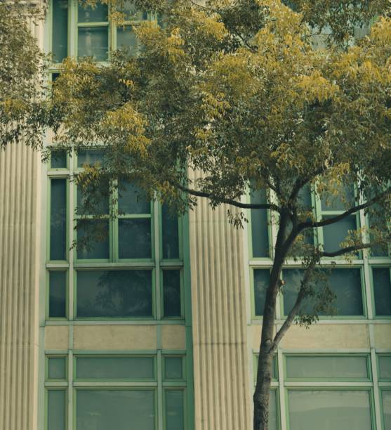 istock Vertical shot of a beautiful building facade with a front tree 1441176333