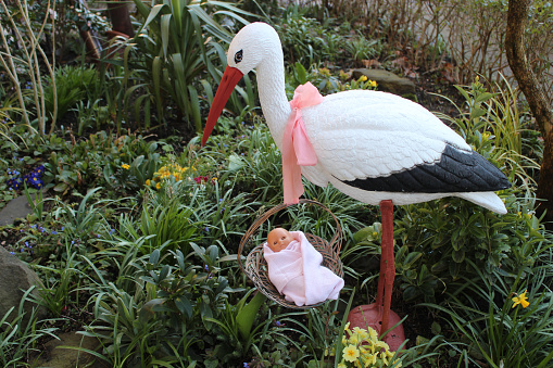 A closeup shot of a Rattle stork with a baby doll in a basket in the garden for the birth of a baby