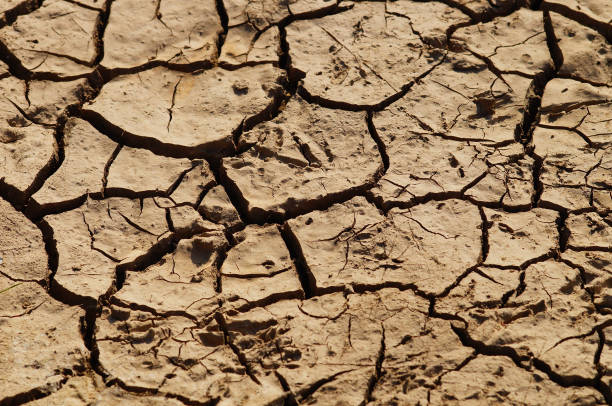 incluso una lluvia corta no puede detener la sequía - acreage fotografías e imágenes de stock