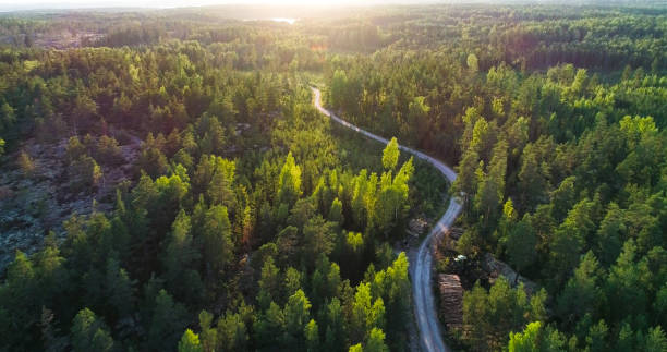 istock winding forest road in Finland 1441177650