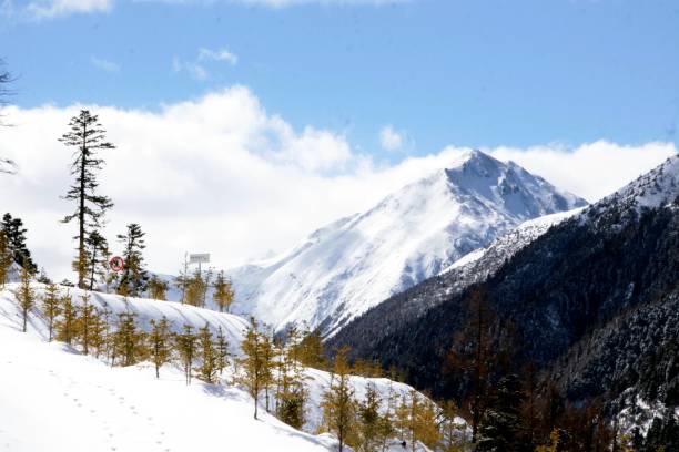 istock Baima Snow Mountain in January 1441178316