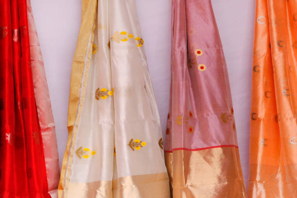 sari / sari de seda indio hecho a mano con detalles dorados, ropa de mujer en festivales, ceremonias y bodas, saris caros son famosos por su zari de oro y plata, brocado. increíble india. - sari fotografías e imágenes de stock