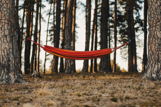 istock Red hammock hanging from the trees in a forest under the sunlight in autumn 1441179524