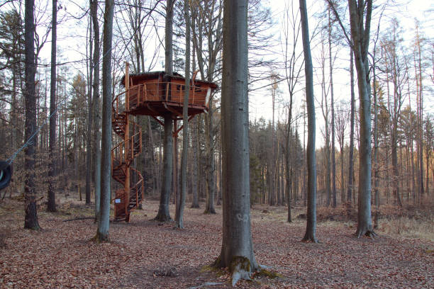 A wooden treehouse in the forest near Brno, Czech republic