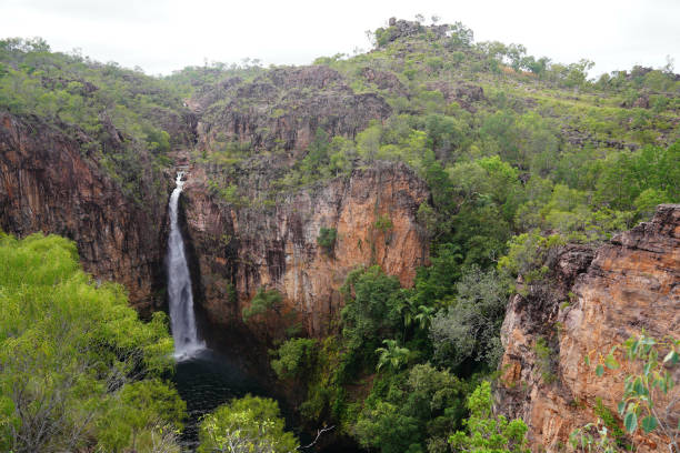 istock Nice waterfall shot in Litchfield National Park, Australia 1441180224