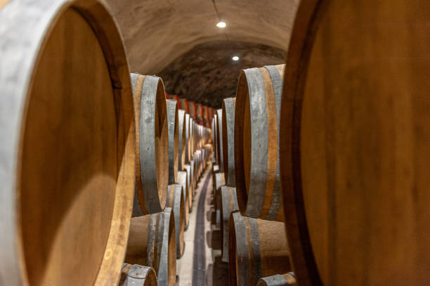 istock Rows of wooden wine barrels in a cellar 1441180383