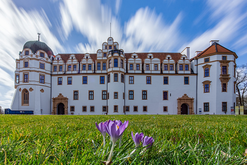 Celle, Germany – March 11, 2021: The castle in Celle, Germany in the spring with tulips in the foreground.