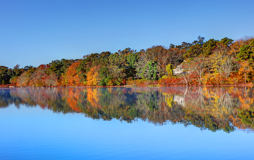 Scargo Lake is a fresh water kettle pond in Dennis, Massachusetts on Cape Cod.