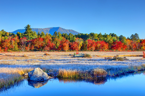 landscape of quiet lake in autumn reflection blue sky