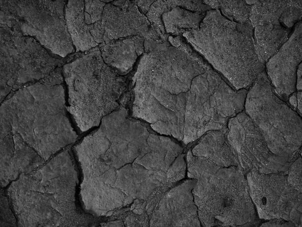 istock Grayscale shot of cracked soil texture background 1441181146