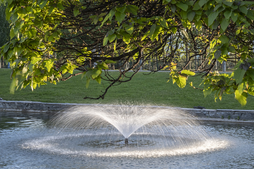 Fountain in a green city park in summer