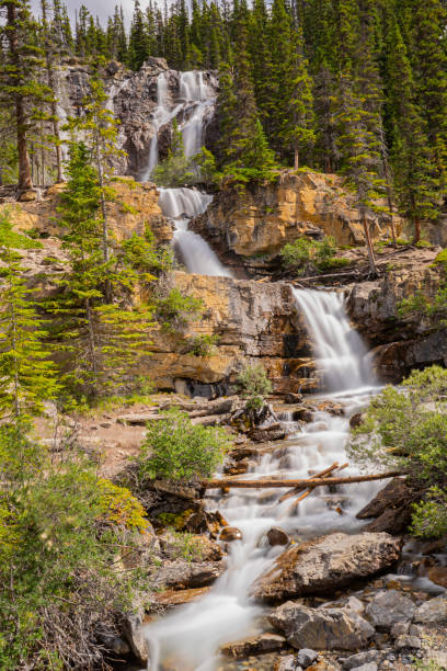 istock Vertical shot of a waterfall flowing on the rocks in a forest 1441182156