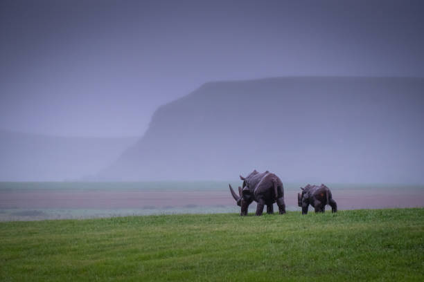 istock Rhinoceroses walking in a valley 1441183249