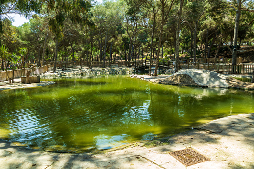 A closeup of a pond in Reina Sofia Park, in Guardamar, Spain