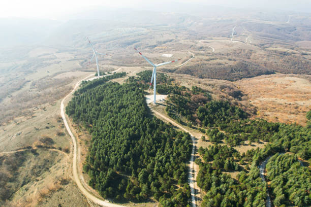 istock wind turbines among pine trees, electricity generation from wind renewable electricity generation, drone view of wind turbines 1441183811