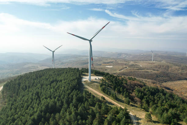 istock wind turbines among pine trees, electricity generation from wind renewable electricity generation, drone view of wind turbines 1441183954