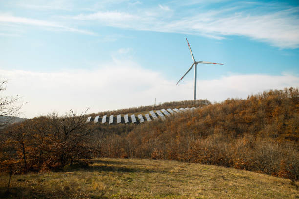 turbiny wiatrowe wśród sosen, wytwarzanie energii elektrycznej z wiatru odnawialna, widok turbin wiatrowych z drona - illinois farm wind wind power zdjęcia i obrazy z banku zdjęć