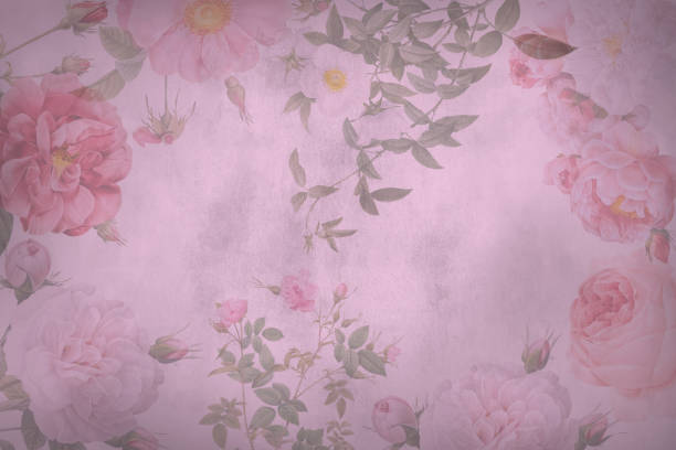 Decorative Floral Pink Parchment Paper For A Background Stock Photo -  Download Image Now - iStock