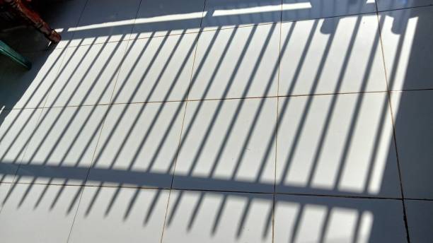 istock White floor fence shadow 1441185060