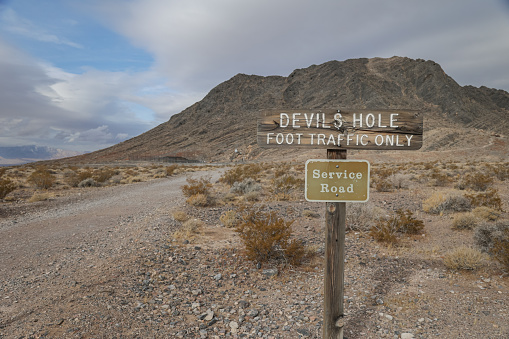 Ash Meadows National Wildlife Refuge, United States – January 11, 2021: A wooden sign marks the hiking trail to Devils Hole, home of the endangered species Devils Hole pupfish, inside Ash Meadows National Wildlife Refuge.