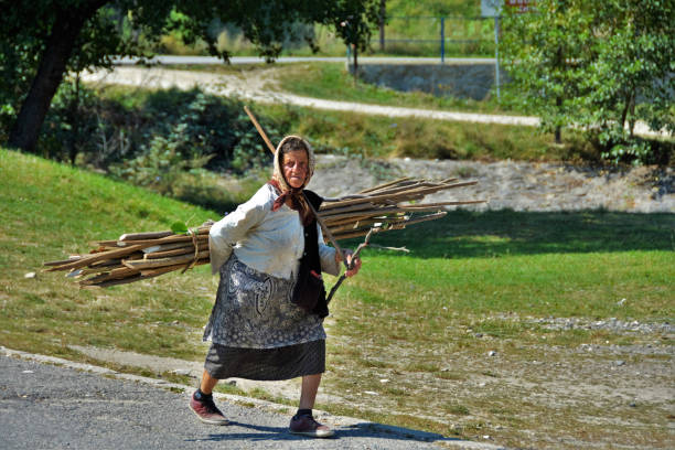 Smiling senior couple working together at farm