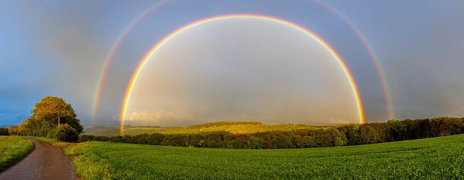 Rainbow over the Irish countryside with cattle grazing in the foreground