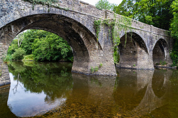 Colourful Summer Detail of Historic Rothern Bridge, Reflections and Low Water Level on the River Torridge - Downstream View: - fotografia de stock