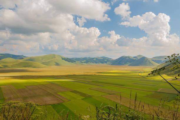 istock Castelluccio di Norcia, Umbria, Italy 1441191673