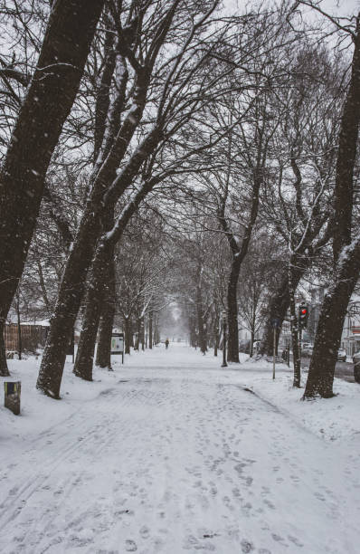 istock Vertical shot of a snowy path in a winter park 1441191992