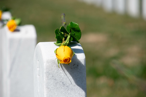 A yellow rose on a gravestone at Arlington National Cemetery