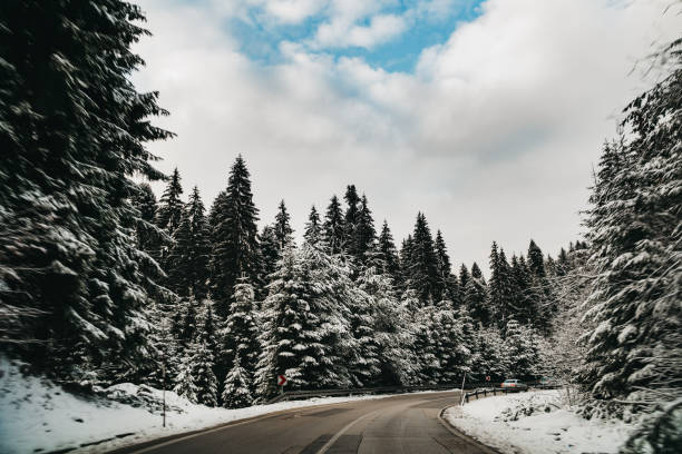 istock Road leading through a snowy forest on a gloomy day 1441193792
