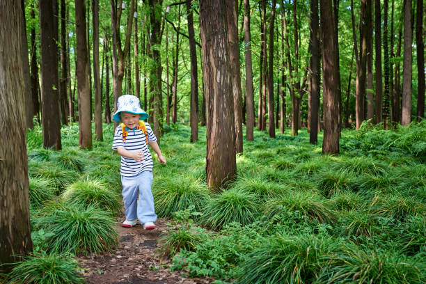 One little boy walking and hiking by the dirt road in forest.