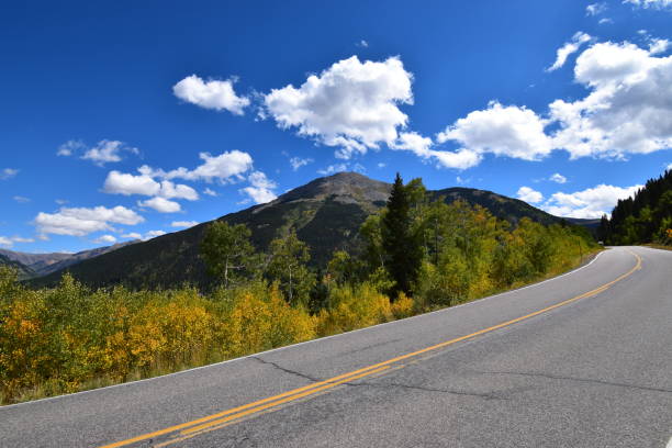 istock Mountain road with yellow flowers 1441194798