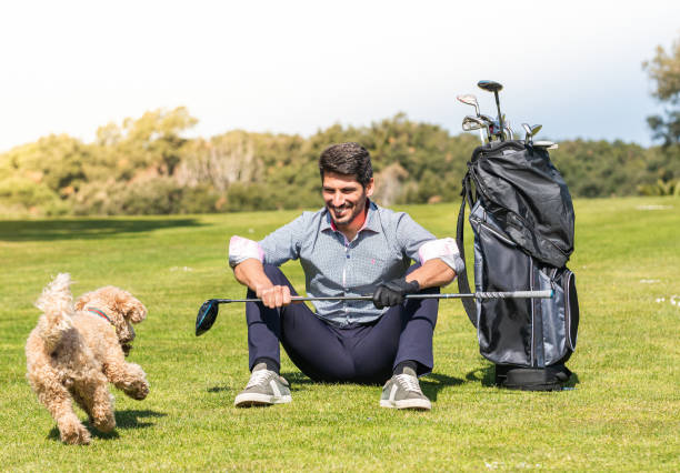 young caucasian male playing with his goldendoodle dog on a professional golf course - golf course golf people sitting imagens e fotografias de stock