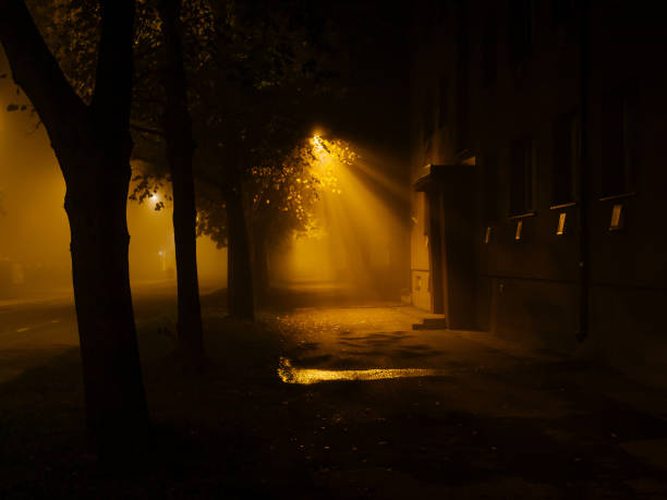 istock Empty street on a Foggy Night 1441196991