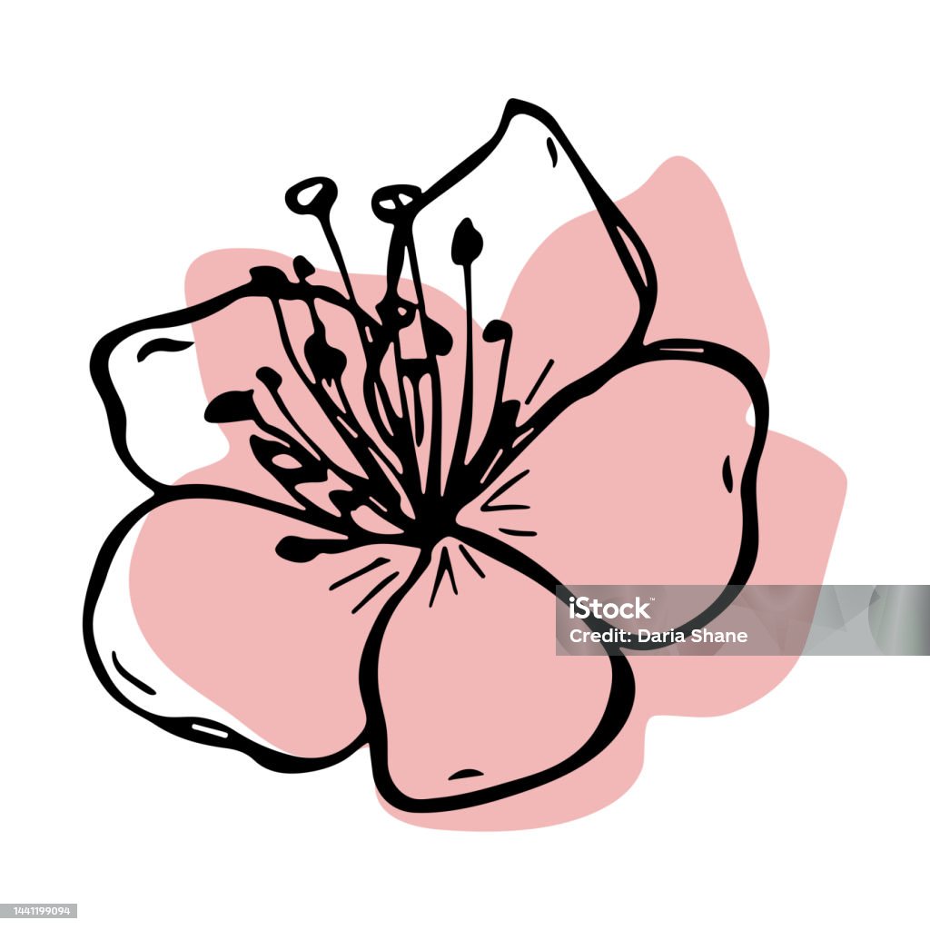Ilustración de Imágenes Prediseñadas De Flores De Cerezo Dibujadas A Mano y más Vectores Libres de Derechos de Baya - iStock Ilustración de Imágenes Prediseñadas De Flores De Cerezo Dibujadas A Mano y más Vectores Libres de Derechos de Baya - iStock