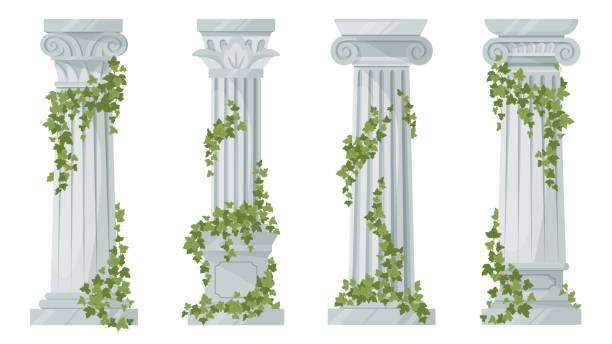 Antique ivy-covered classic greek columns. Cartoon ancient roman pillars with climbing ivy branches isolated flat vector illustration on white background Antique ivy-covered classic greek columns. Cartoon ancient roman pillars with climbing ivy branches isolated flat vector illustration on white background doric stock illustrations