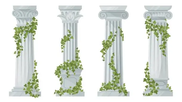 Vector illustration of Antique ivy-covered classic greek columns. Cartoon ancient roman pillars with climbing ivy branches isolated flat vector illustration on white background