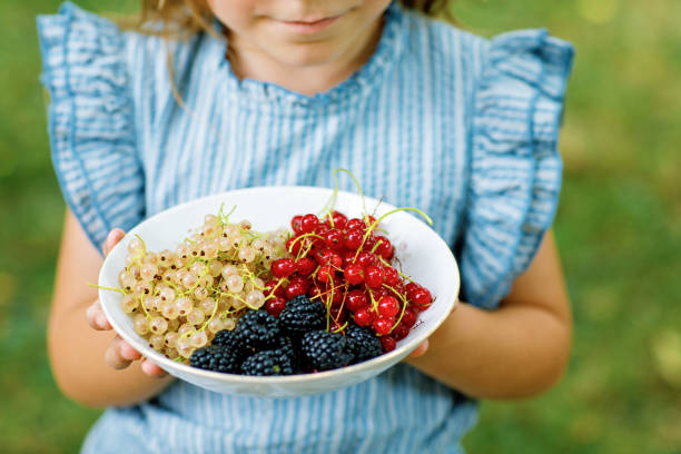 Red currants, white currants and blackberries in a bowl held by hands, closeup, only hands. Child holding fresh healthy berries.