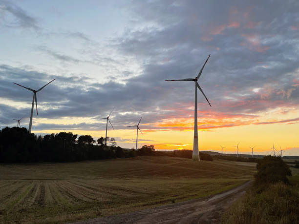 istock Panoramic view of wind farm or wind park on sundown, with high wind turbines for generation electricity with copy space. Green energy concept. 1441206102