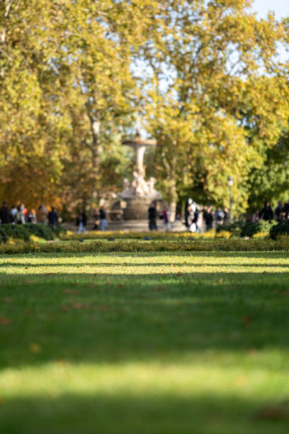 istock Defocused blurred on purpose. Sun rays over crowded retiro park grass in Madrid at sunset 1441211739