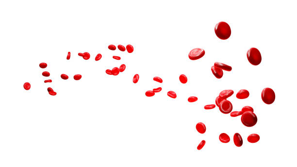 istock Blood cells isolated on a white background. Blood cells selective focus, 3d render. Concept of medicine or microbiology. 1441216318