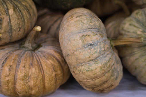 Organic small Thai pumpkins